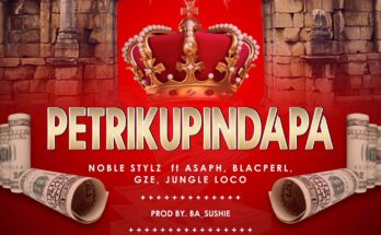 Top Zim hip hop artistes Noble Styles, Asaph, GZE, Blacperl and Jungle Loco have collaborated on a song titled Petrikupindapa