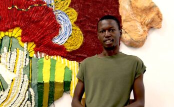 Troy Makaza is a Zimbabwean artiste who lives and works in Harare. In today’s edition of Creative Voices he talks about his artwork.