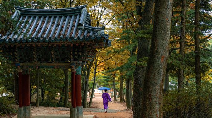 Forbes Names Zimbabwe As The Best Country to Visit in 2025 3 South Korea