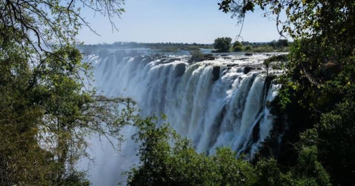 Victoria Falls Rainforest temporarily closed after reports of an elephant moving within the protected area, prompting authorities to prioritise safety.